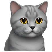 british shorthair cat sticker