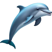 dolphin sticker