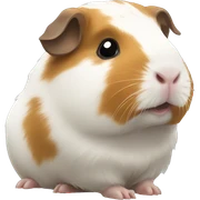 guinea pig sticker