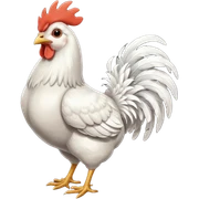 Chicken with tail sticker