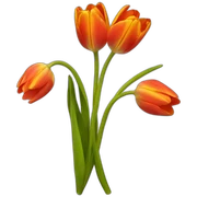 tulipan sticker