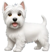 Westie sticker