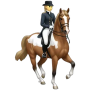 Dressage sticker