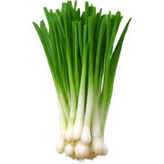 CHIVE sticker
