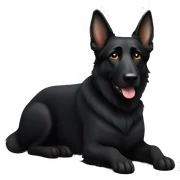 Black German shepherd dog  sticker