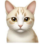 Light beige and white cat sticker