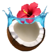 Coconut and hibiscus water splash sticker