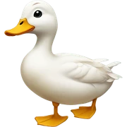 Duck  sticker