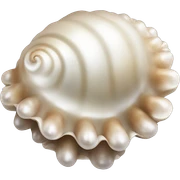 Shell pearl sticker