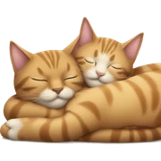 two cats sleeping with eachother sticker
