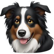 border collie sticker