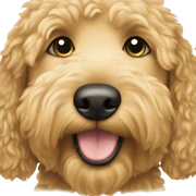 Golden Doodle sticker