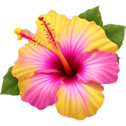 yellow and pink hibiscus flower sticker