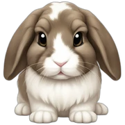 Mini lop bunny sticker