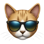 Cat with sunglasses sticker