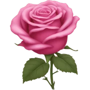 Roses sticker