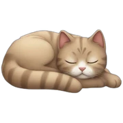 Sleep cat sticker