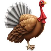 Turkey Building a Deck sticker