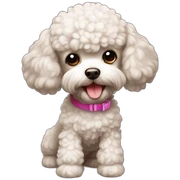 Little toy poodle sticker
