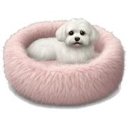 Pet bed fluffy realistic sticker