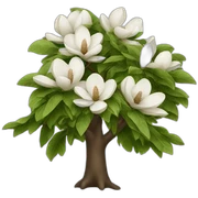magnolia tree sticker