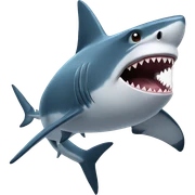 shark  sticker