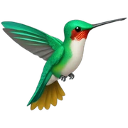 Colibri sticker