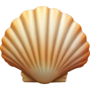 Sunset shell  sticker