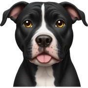 black pitbull  sticker