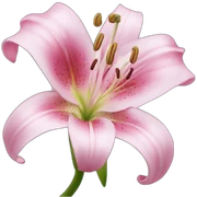 pink lily sticker