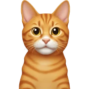 Orange tabby sticker