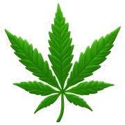 Green plant with 5 leaves shaped like a cannabis plant sticker