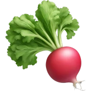 radish sticker