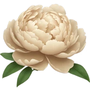 Beige peonies  sticker