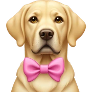 Yellow labrador with pink bow sticker