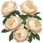 Beige peonies  sticker