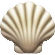 Shell sticker