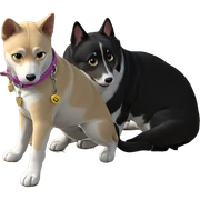 dog with collar gazing directly sticker