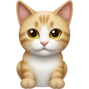Cat angels  sticker