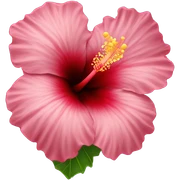 Hibiscus sticker