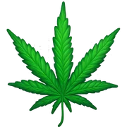 cannabis leaf sticker