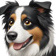 Border collie sticker
