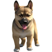 playful dog in the sun sticker