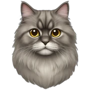 persian cat sticker