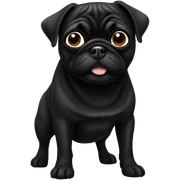 Black pug sticker