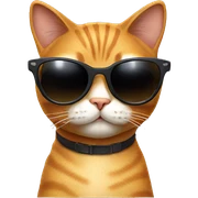 Cat with sunglasses sticker