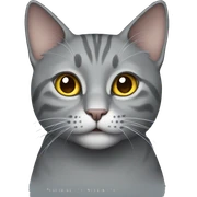 Gray cat sticker