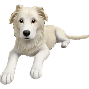 dog gazing out the window sticker