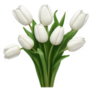 White tulips sticker