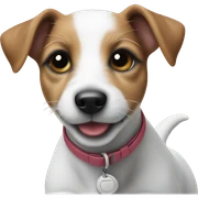 jack Russell puppy on beach  sticker